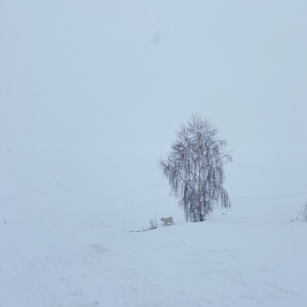 Photograph by Елена Иванова