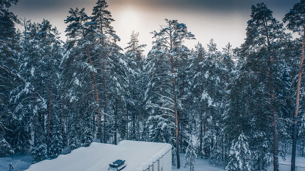 Photograph by Паша Савельев