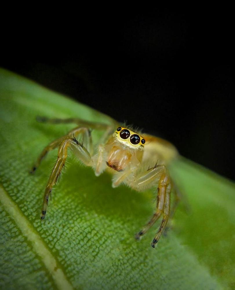 Photograph by Ashik R S Mohammed