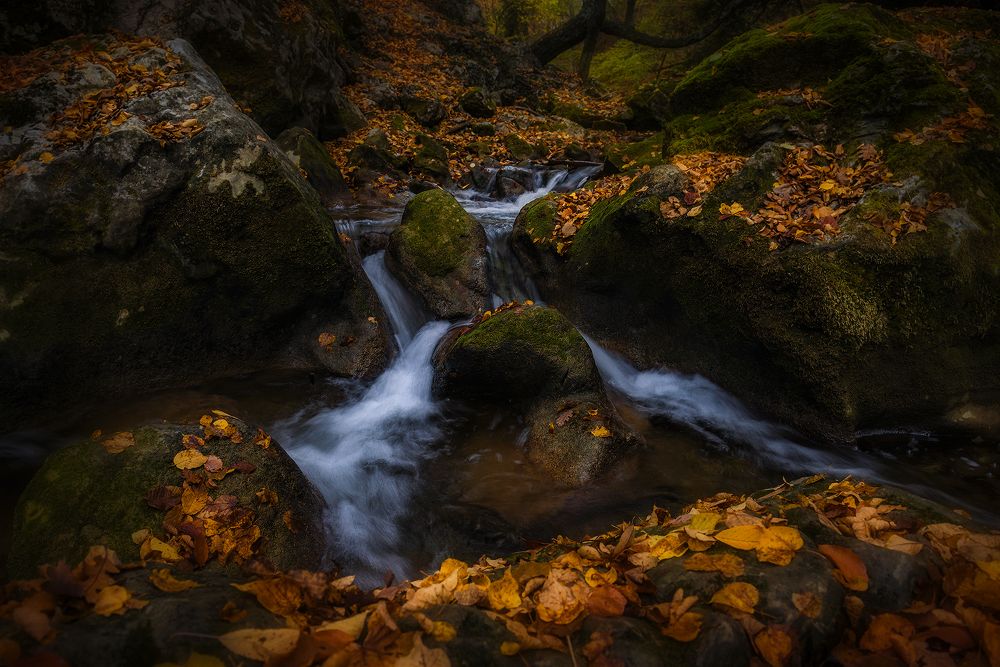 Photograph by Владимир Яковлев