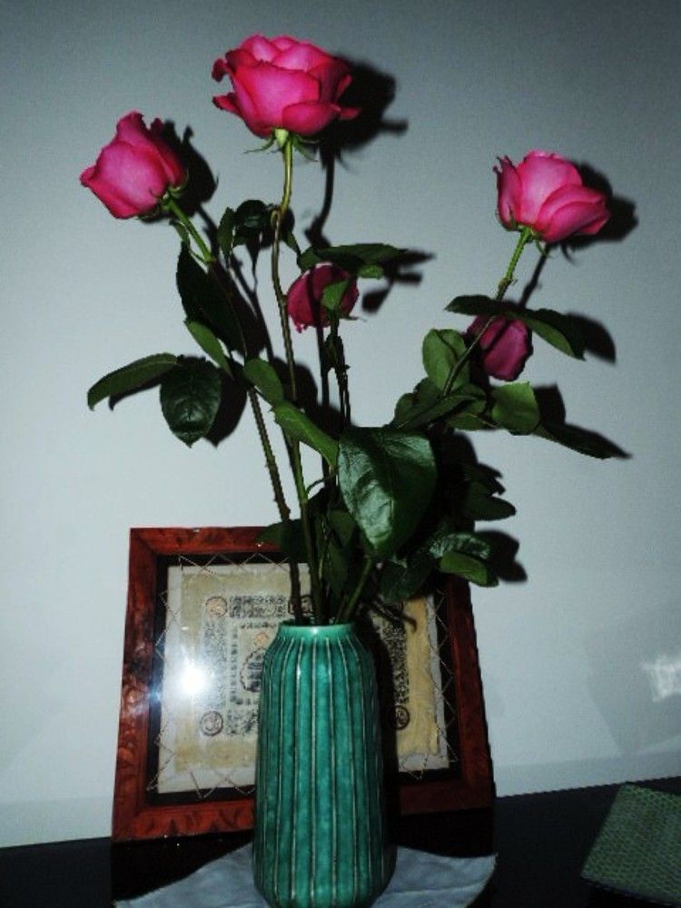 Photograph by Аспан