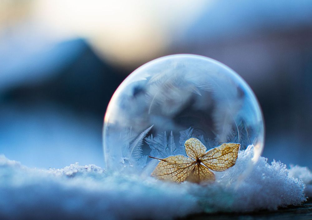 Photograph by Роман