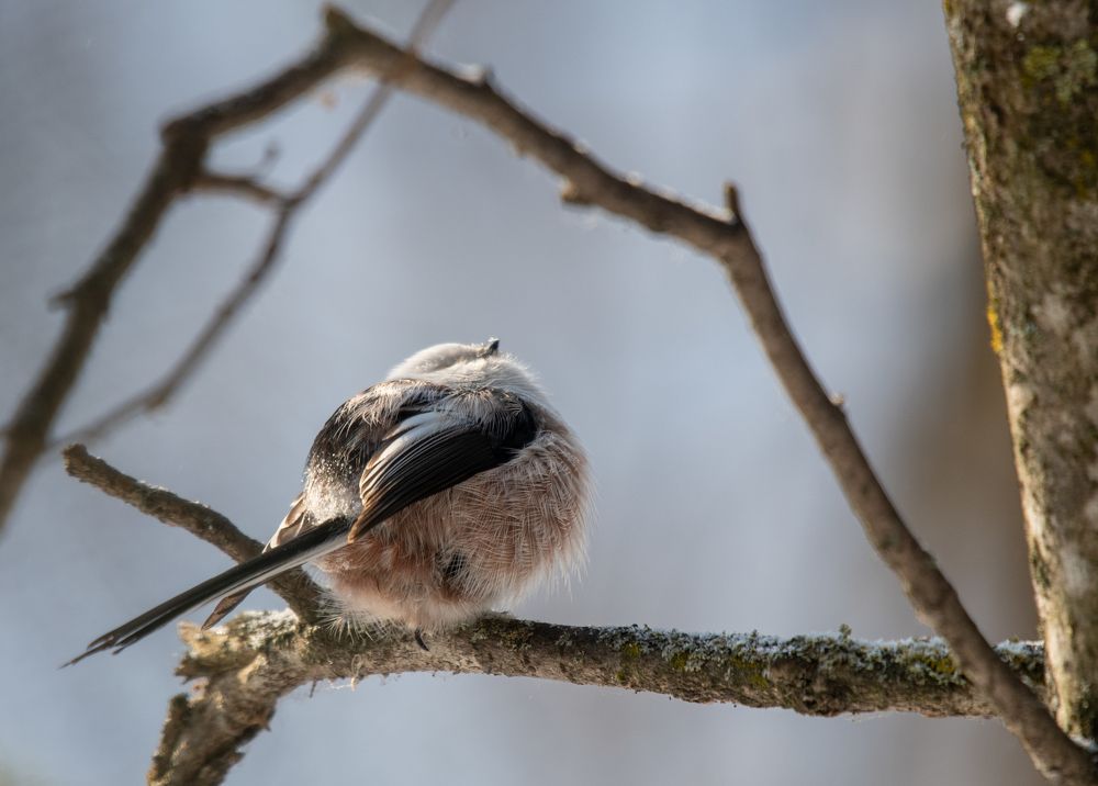Фотография автора Юрий Калиногорский