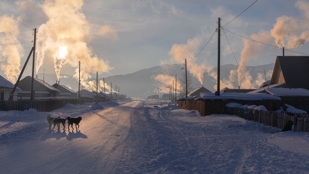 Photograph by Владимир Русских