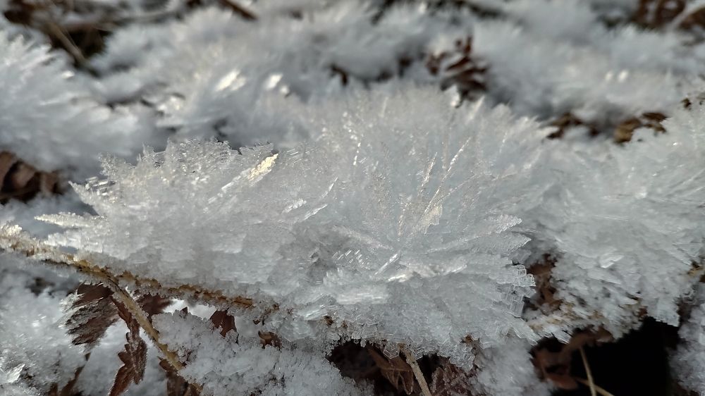 Photograph by Елена Позднякова