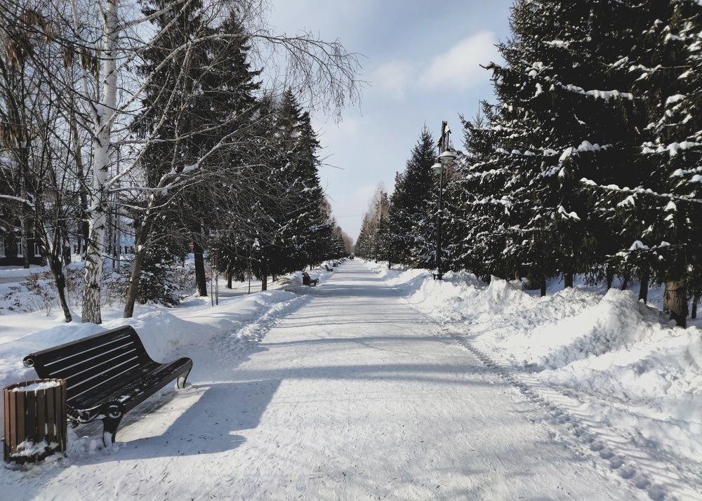 Фотография автора Максим Зубарев