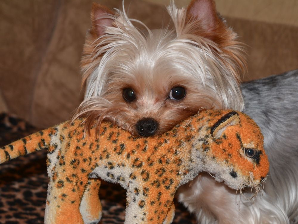 Photograph by вячеслав милов