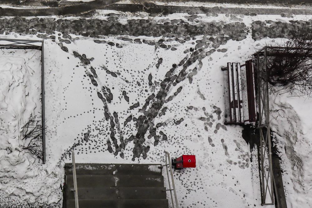 Photograph by Ирина Любимова