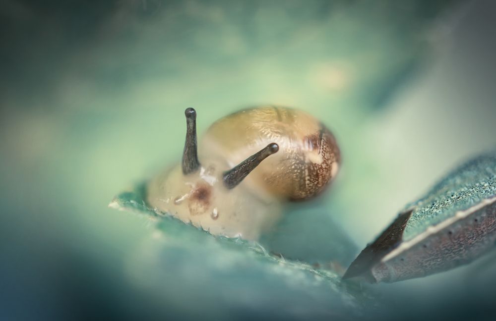 Photograph by Марина Хилько