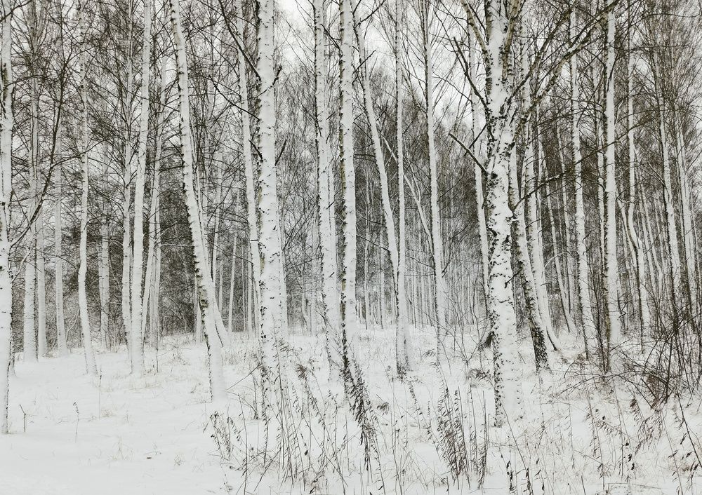 Photograph by Борис Баринов