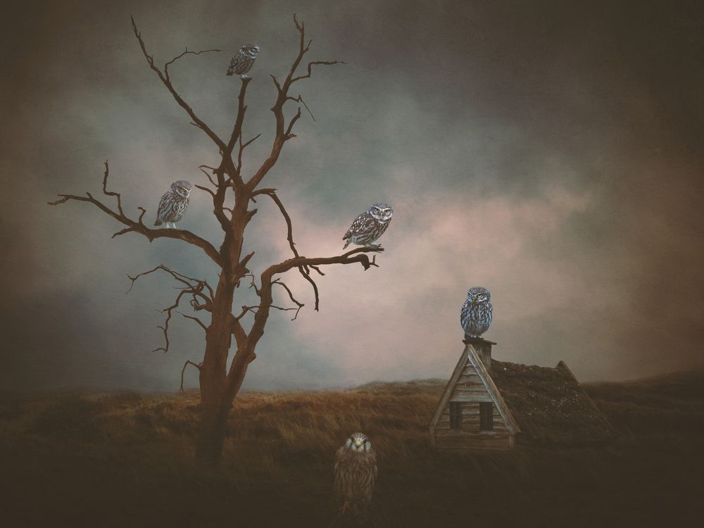 Photograph by mirka koot