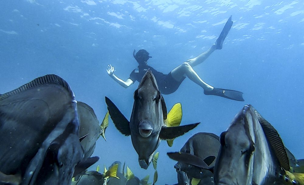 Photograph by Felix Reyes