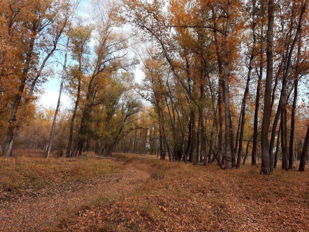 Photograph by Дмитрий Вязьмин