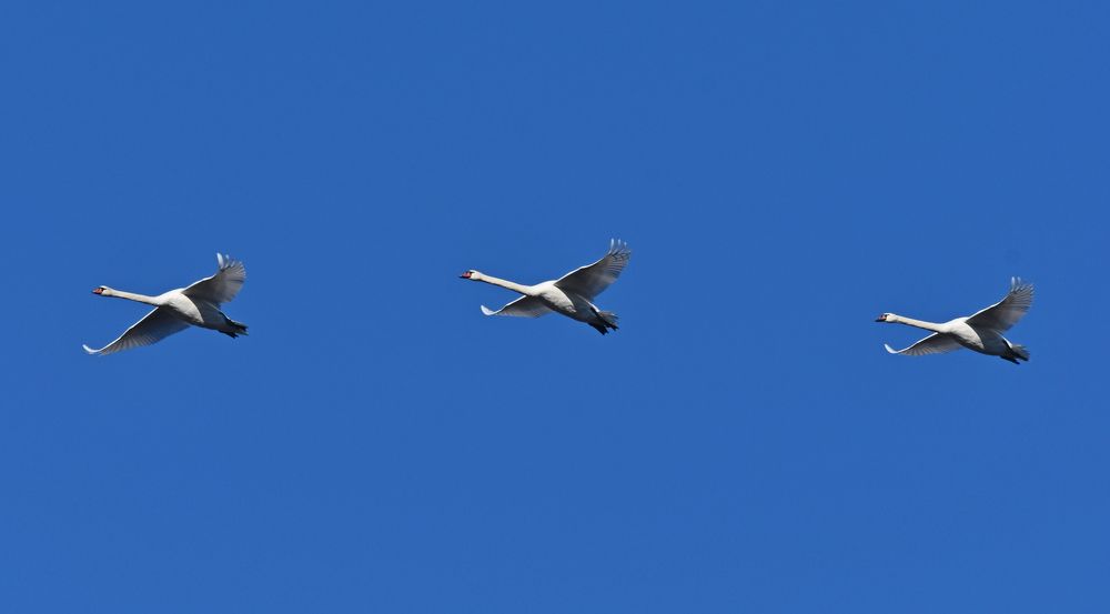 Фотография автора Юрий Калиногорский