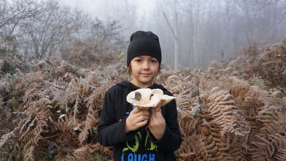 первые заморозки