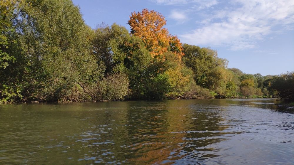 Photograph by Елена Позднякова