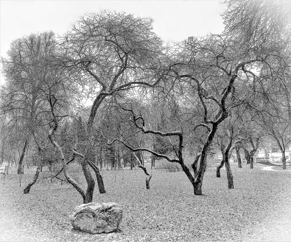 Photograph by Владимир Шнип