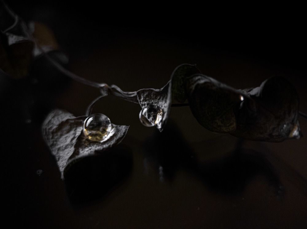 Фотография автора Марина Алексеевская