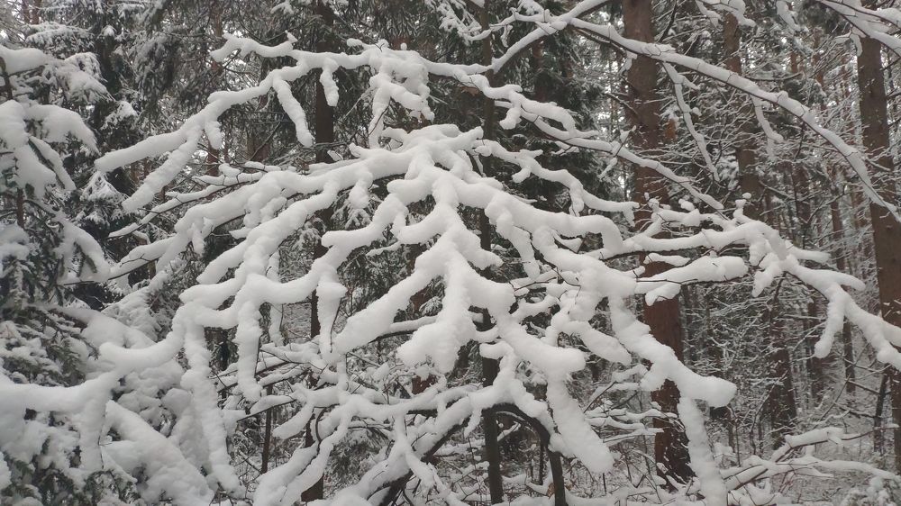 Photograph by Елена Позднякова