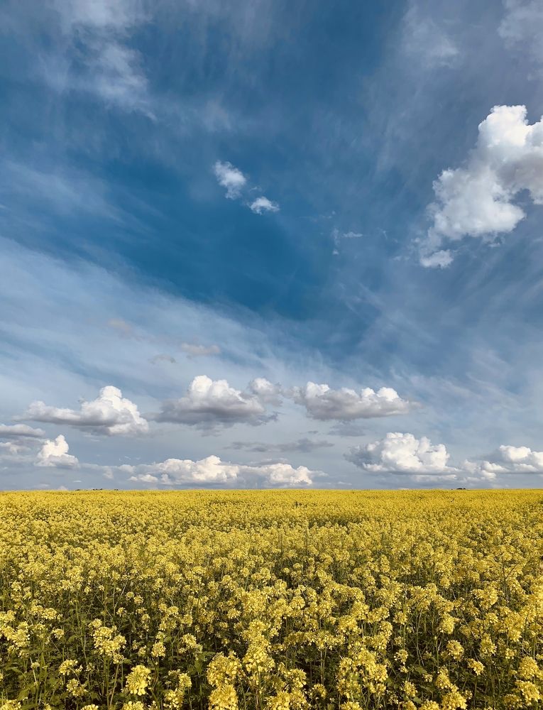 Photograph by Павел Тищенко