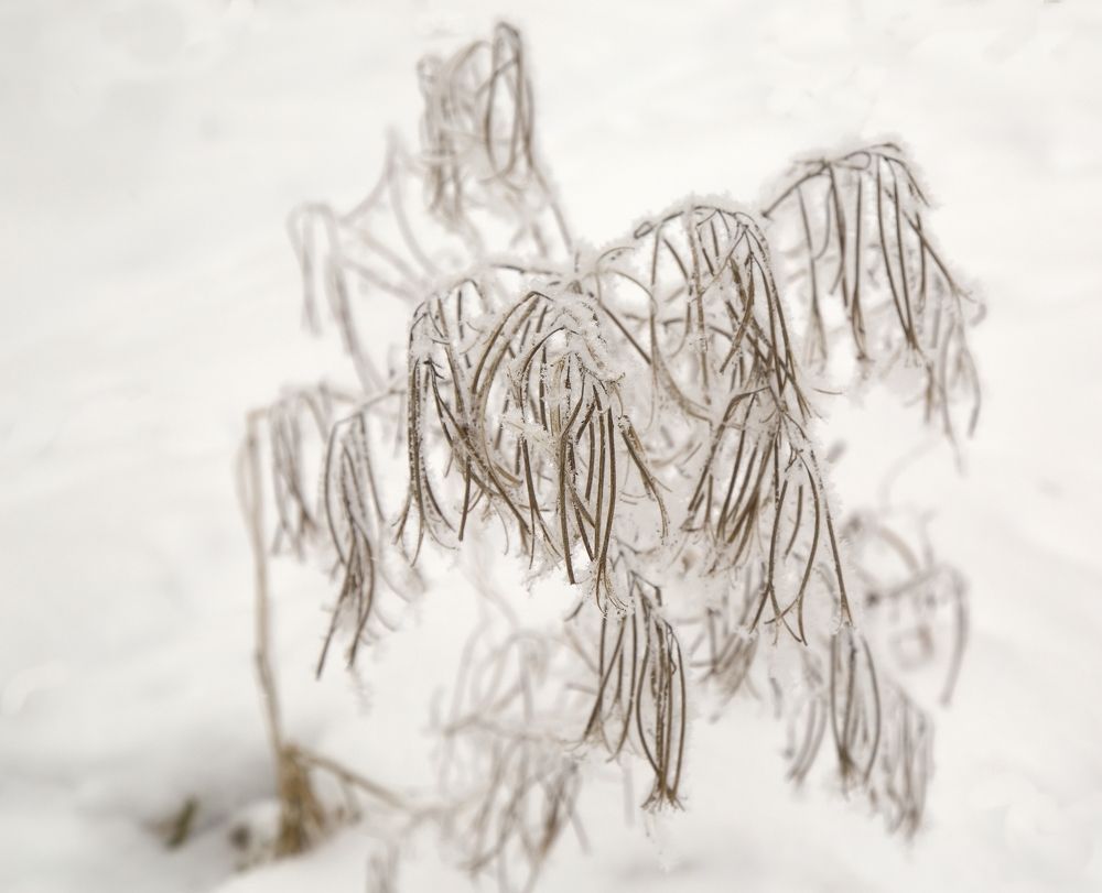 Photograph by Борис Баринов