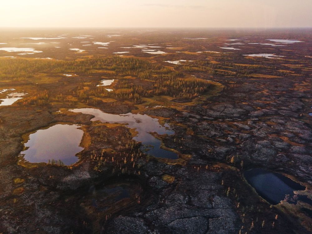 Тундра. Вечерний градиент.