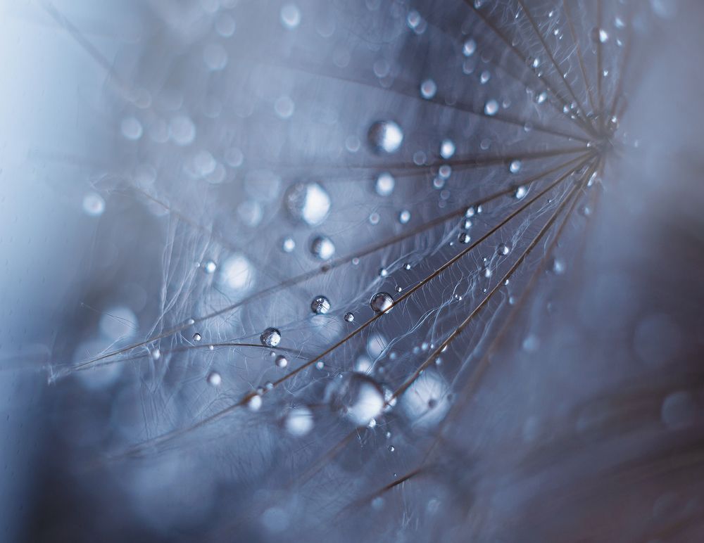 Фотография автора Наталья Ветошкина