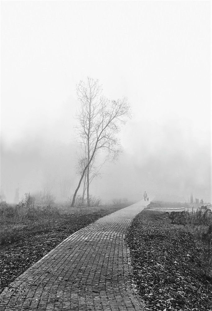 Photograph by Владимир Шнип