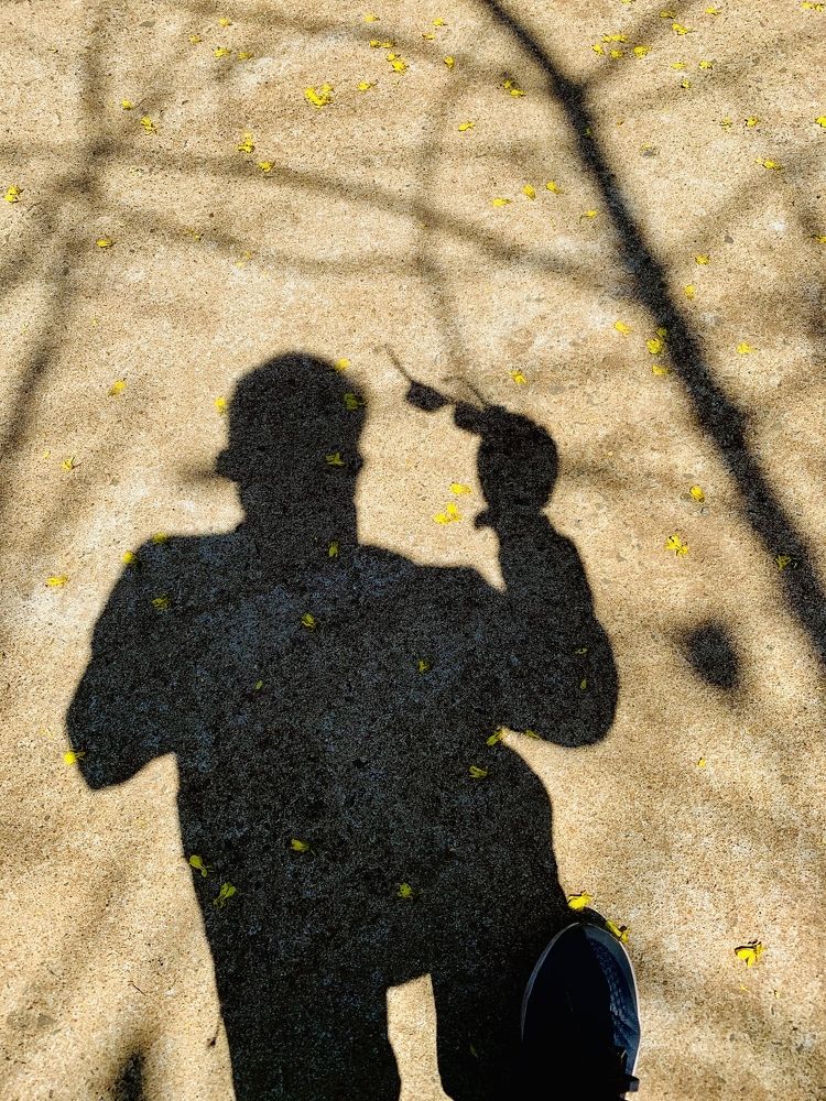 Alone under sunshine