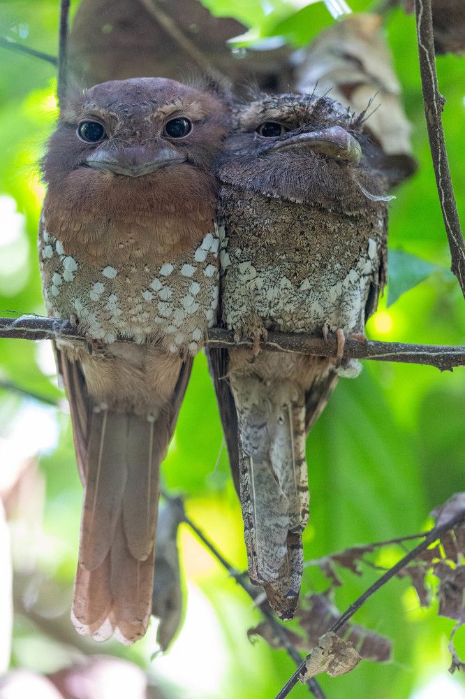 Proof that Marriages are made in heaven...