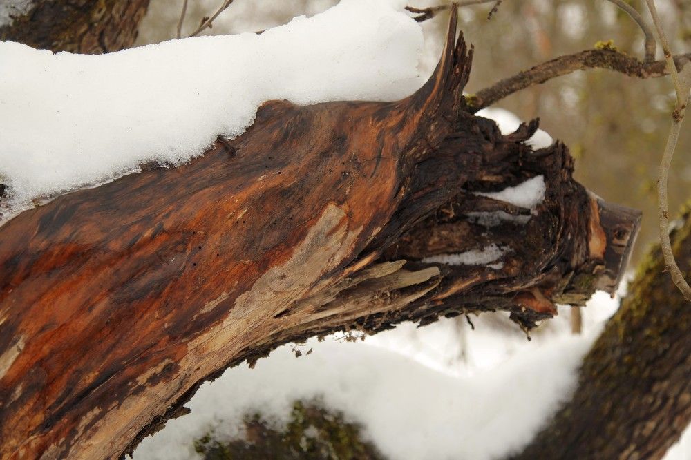 Photograph by Борис Баринов