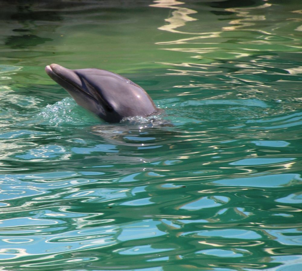 Photograph by Leo Tujak