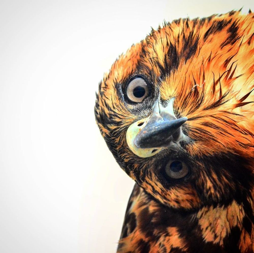 Photograph by Felix Reyes