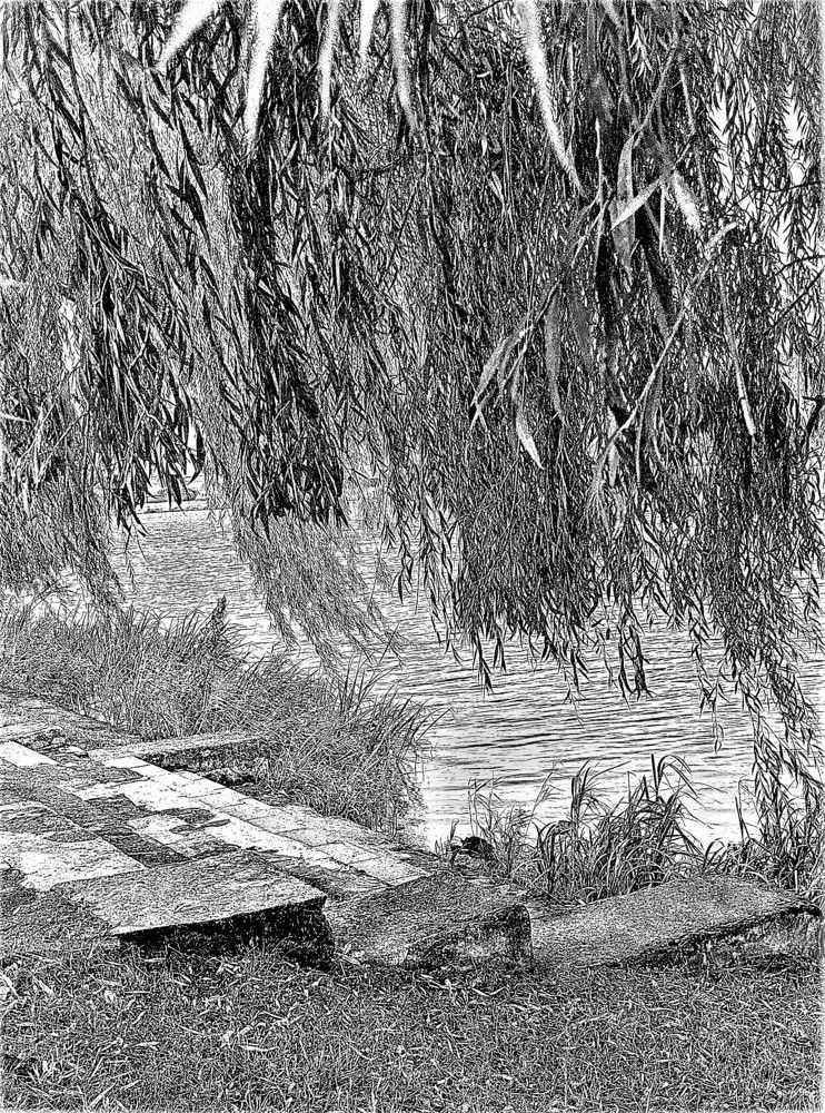 Photograph by Владимир Шнип