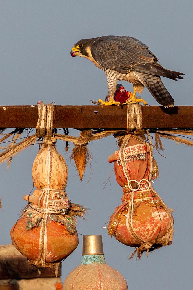 Photograph by Esmail Samiwala