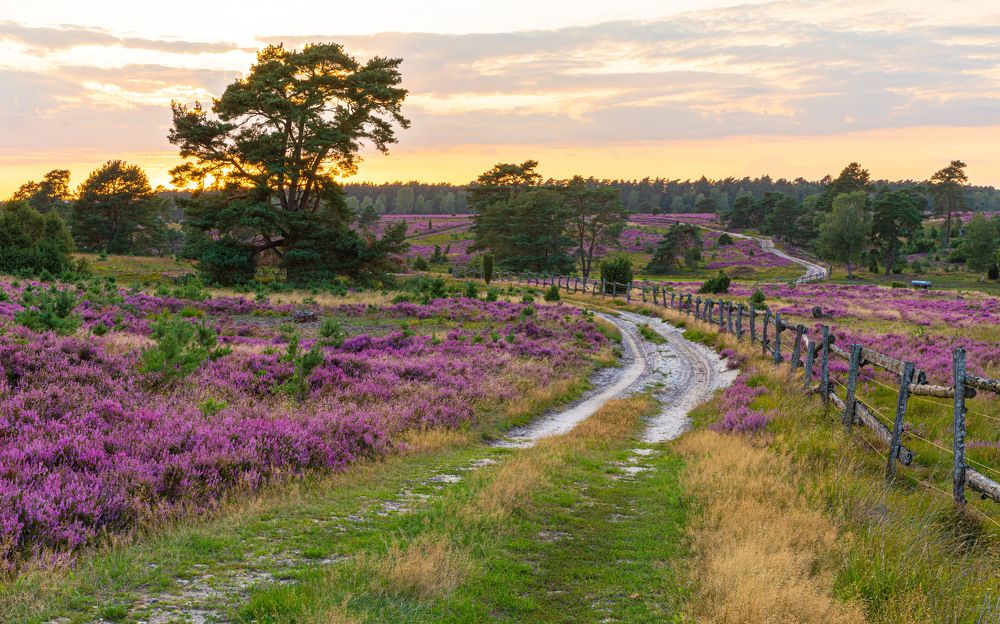 Photograph by Евгения Чех