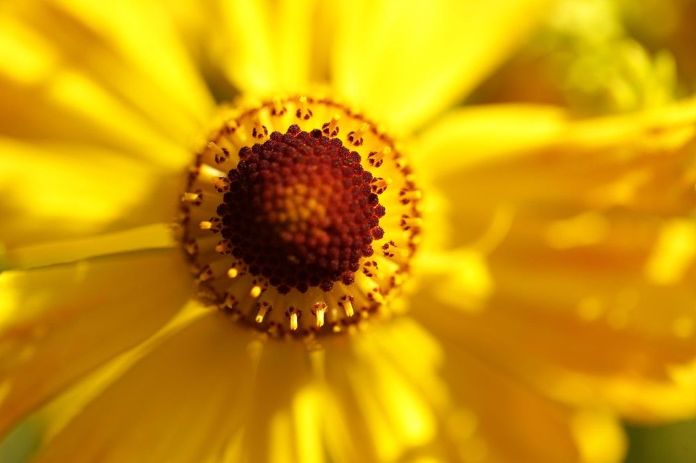 Photograph by Борис Баринов