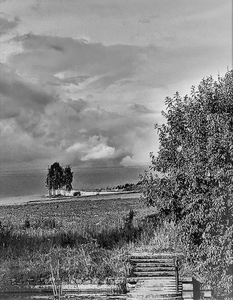 Photograph by Владимир Шнип