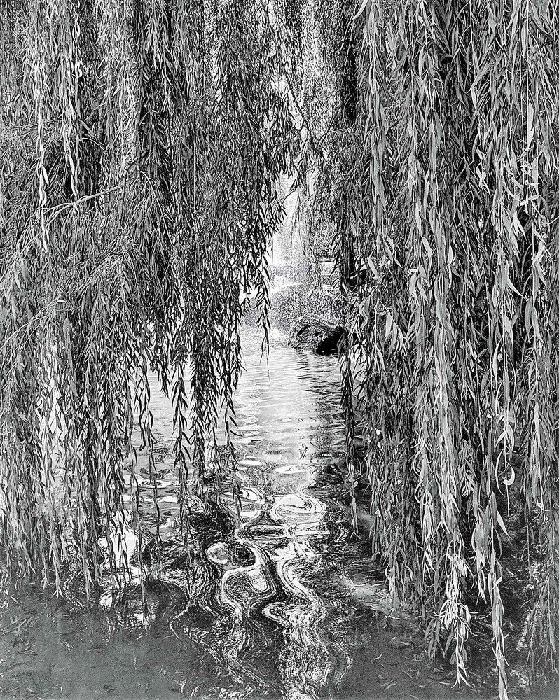 Photograph by Владимир Шнип