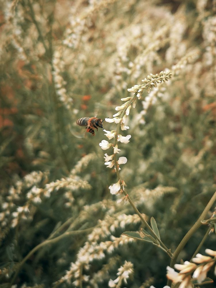 Дозаправка