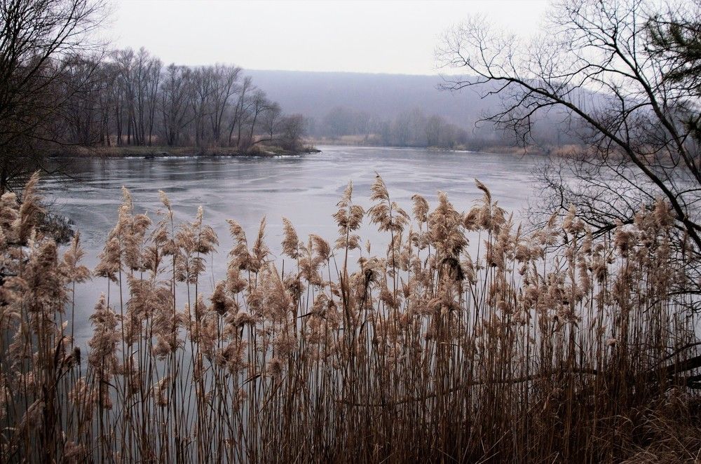 Photograph by Елена Коптева