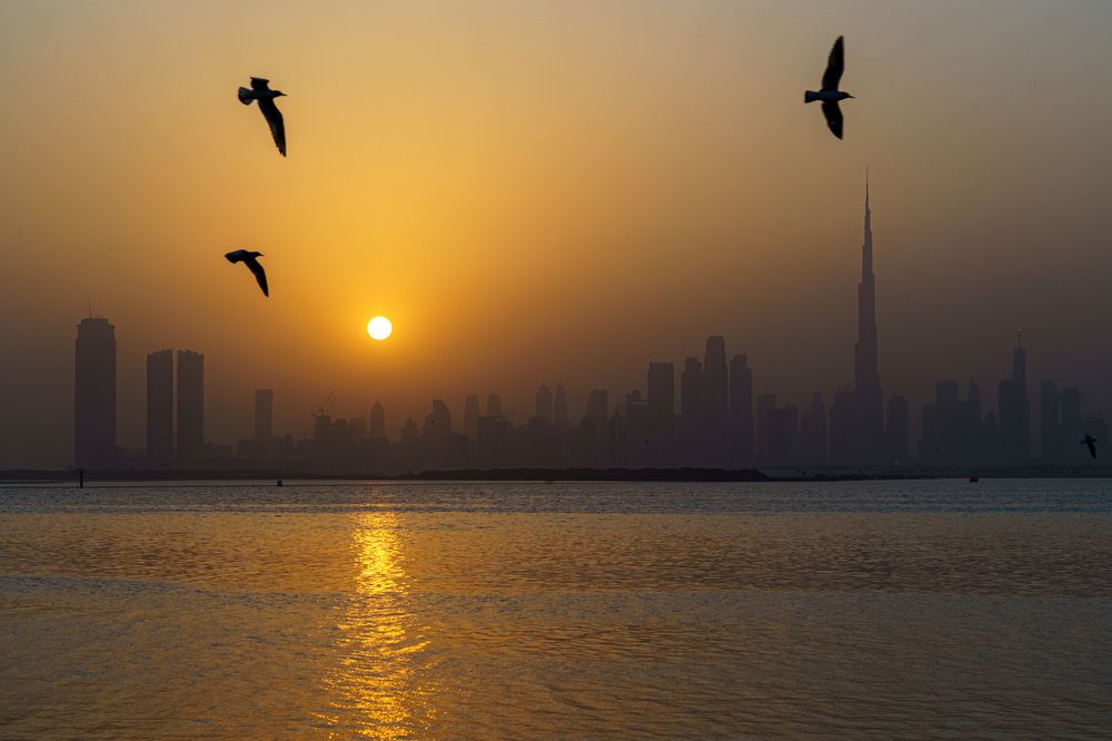 Photograph by TORIKAI JUNKO