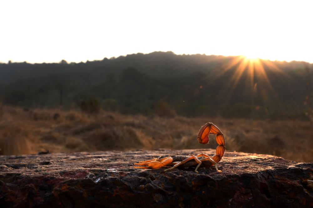 Photograph by Yuwaraj Gurjar