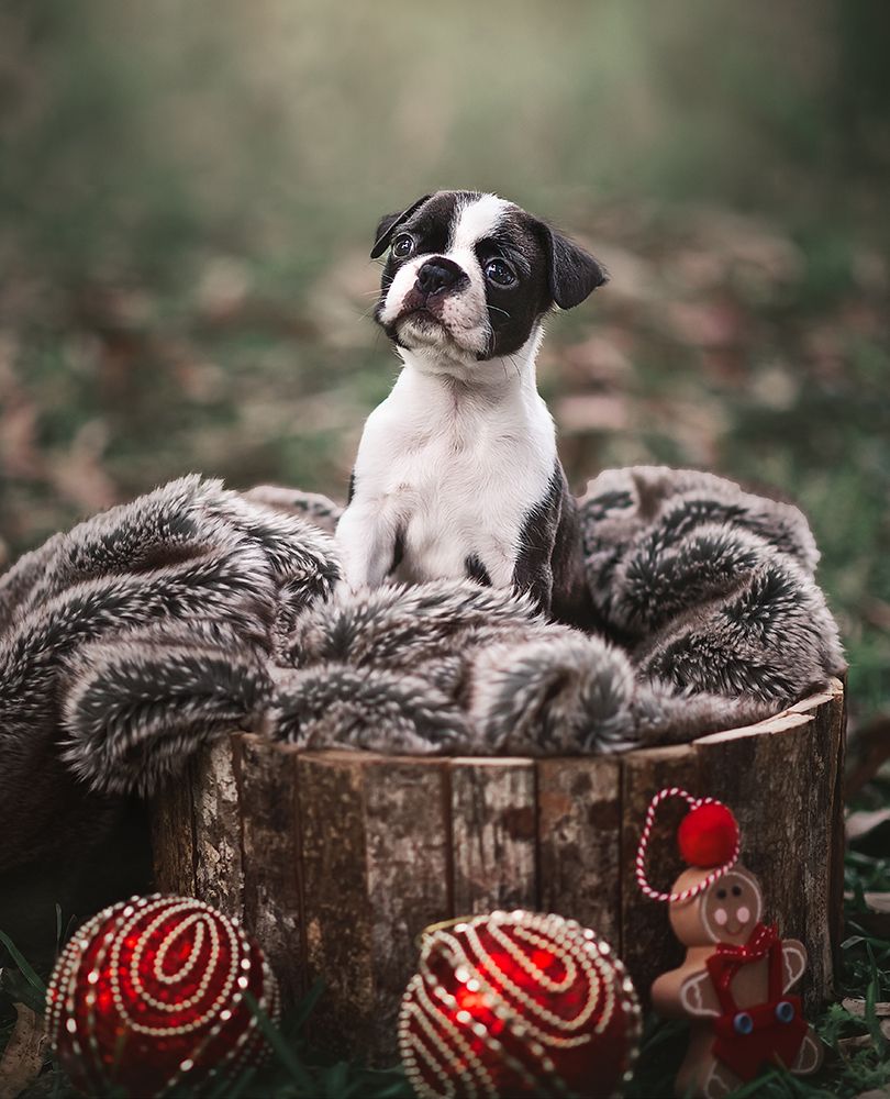 Photograph by luciana zapatero