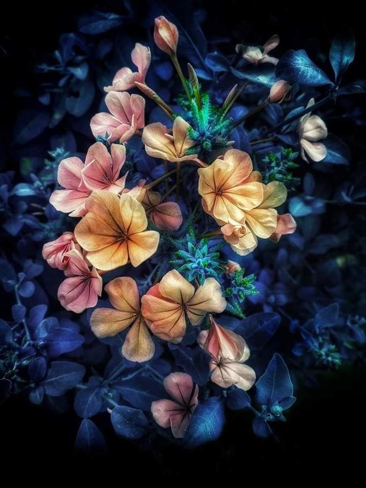 Photograph by Polina Svirida