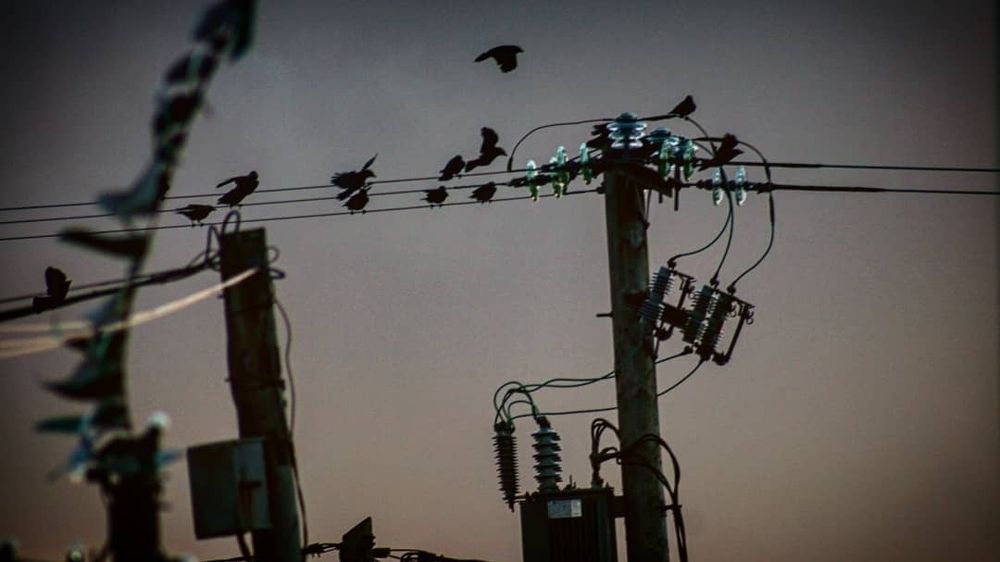 Photograph by Declan Gallagher