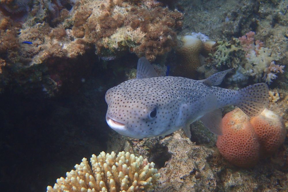 Photograph by Александр Баран