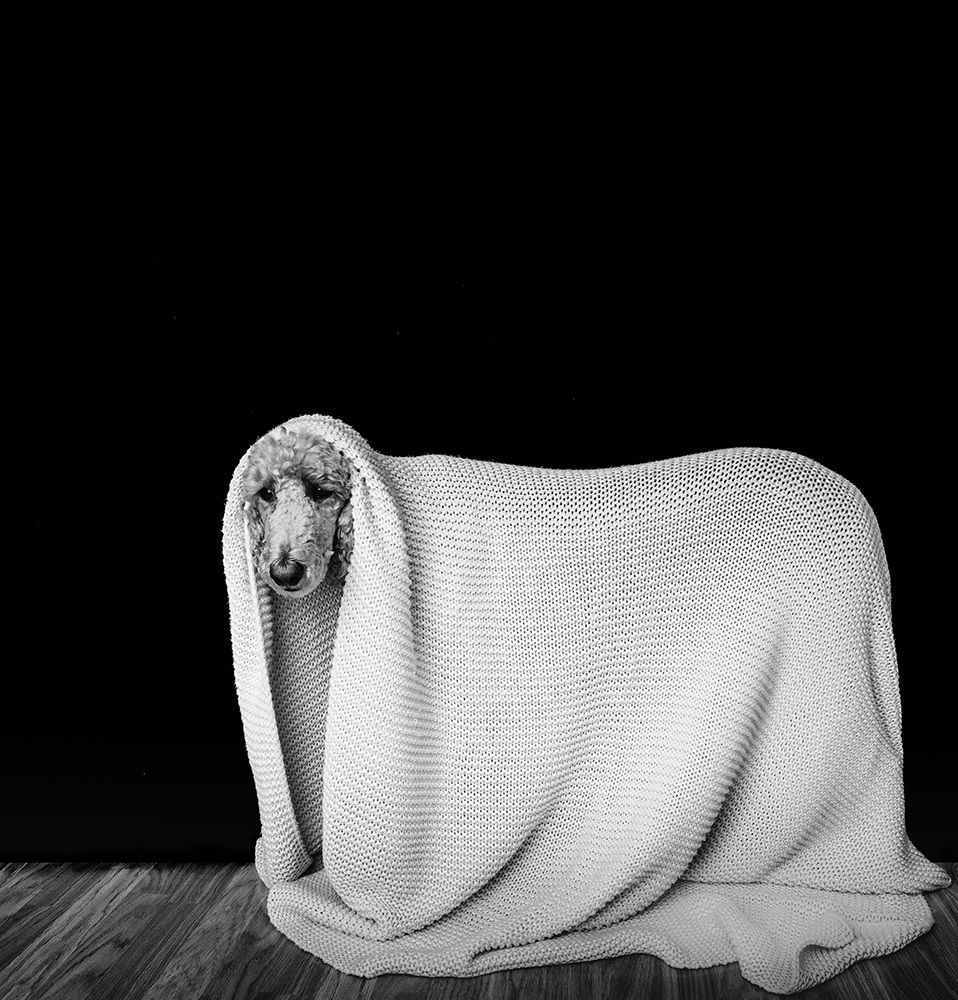 Photograph by Leiko Napoli