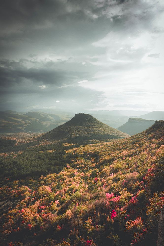 Photograph by Яна Искаева