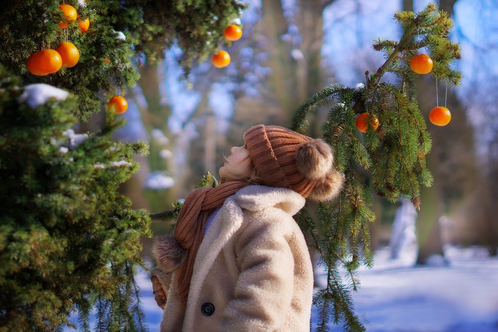 Мандариновый урожай